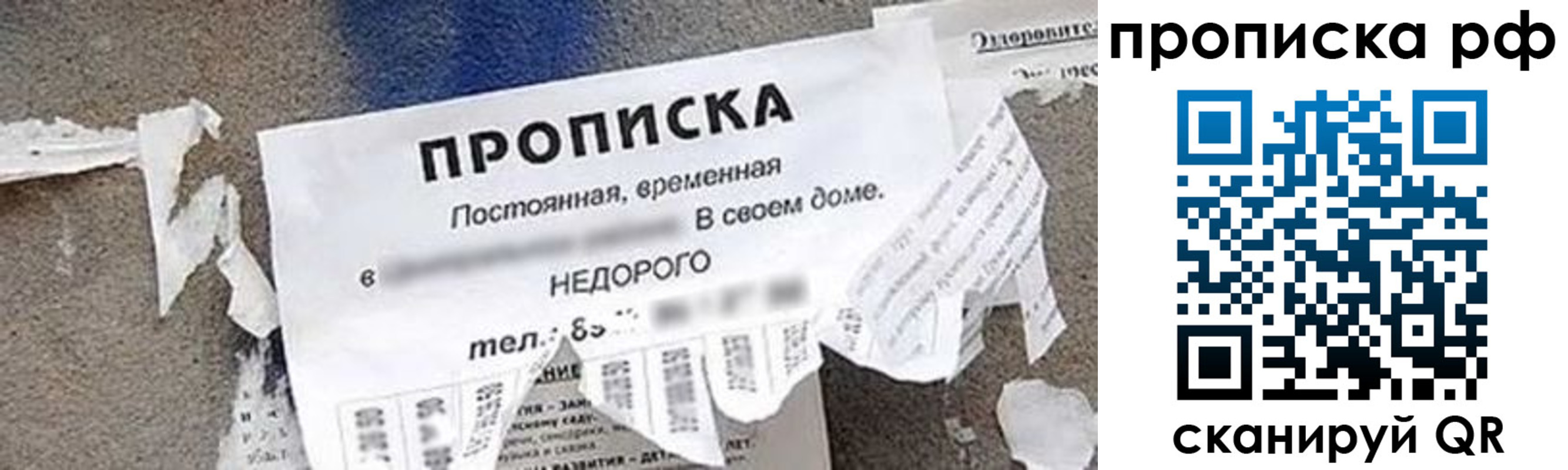 где прописаться в Свободном